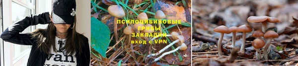 a pvp Вязники