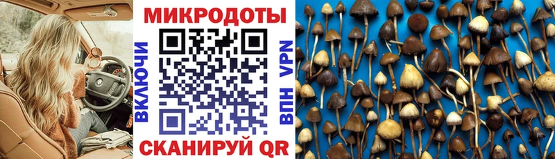 Галлюциногенные грибы мухоморы Гаврилов Посад