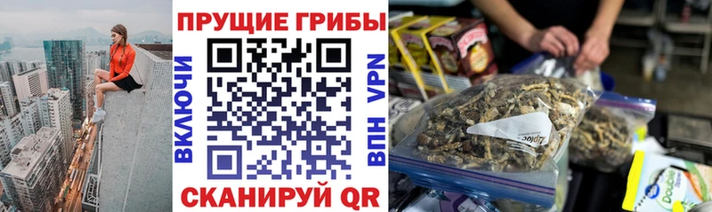 Купить где  Гаврилов Посад  Псилоцибиновые грибы Psilocybine cubensis 