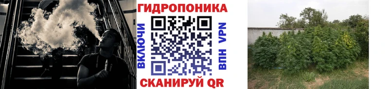 Бошки марихуана LSD WEED  Купить закладки  Гаврилов Посад 